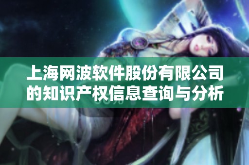 上海網(wǎng)波軟件股份有限公司的知識(shí)產(chǎn)權(quán)信息查詢與分析 上海網(wǎng)波軟件股份有限公司的知識(shí)產(chǎn)權(quán)信息查詢與分析