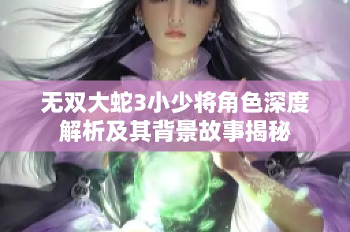 無雙大蛇3小少將角色深度解析及其背景故事揭秘