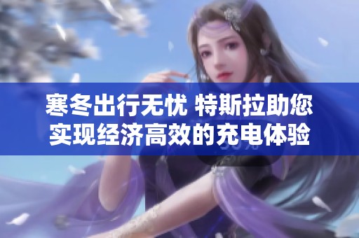 寒冬出行無憂 特斯拉助您實現(xiàn)經(jīng)濟(jì)高效的充電體驗