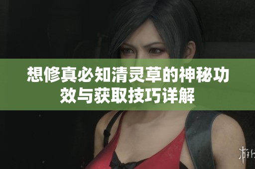想修真必知清靈草的神秘功效與獲取技巧詳解