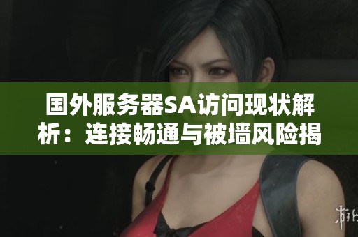 國(guó)外服務(wù)器SA訪問(wèn)現(xiàn)狀解析：連接暢通與被墻風(fēng)險(xiǎn)揭秘