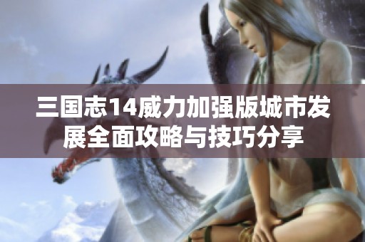 三國志14威力加強(qiáng)版城市發(fā)展全面攻略與技巧分享