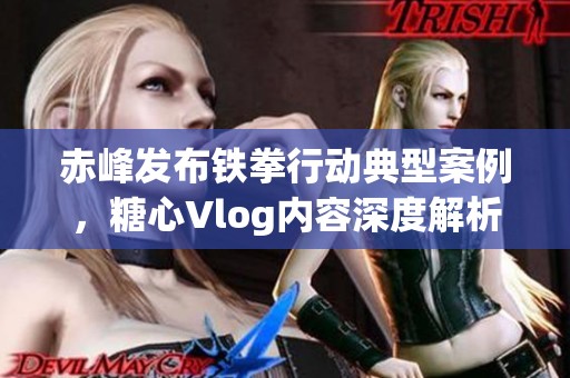 赤峰發(fā)布鐵拳行動(dòng)典型案例，糖心Vlog內(nèi)容深度解析