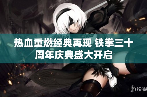 熱血重燃經(jīng)典再現(xiàn) 鐵拳三十周年慶典盛大開啟