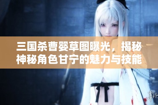 三國殺曹嬰草圖曝光，揭秘神秘角色甘寧的魅力與技能
