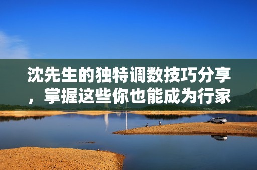 沈先生的獨特調(diào)數(shù)技巧分享，掌握這些你也能成為行家