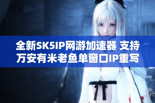 全新SK5IP網(wǎng)游加速器 支持萬安有米老魚單窗口IP重寫