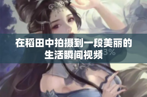 在稻田中拍攝到一段美麗的生活瞬間視頻