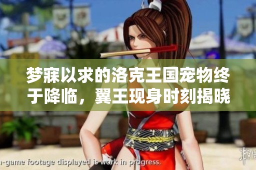 夢(mèng)寐以求的洛克王國(guó)寵物終于降臨，翼王現(xiàn)身時(shí)刻揭曉
