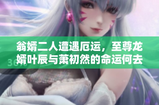 翁婿二人遭遇厄運(yùn)，至尊龍婿葉辰與蕭初然的命運(yùn)何去何從