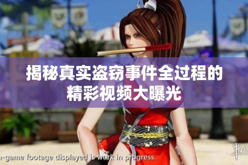 揭秘真實(shí)盜竊事件全過程的精彩視頻大曝光