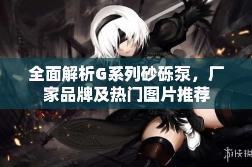 全面解析G系列砂礫泵，廠家品牌及熱門圖片推薦