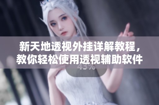 新天地透視外掛詳解教程，教你輕松使用透視輔助軟件
