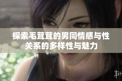 探索毛茸茸的男同情感與性關(guān)系的多樣性與魅力