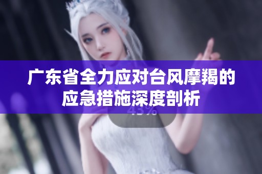 廣東省全力應(yīng)對臺風(fēng)摩羯的應(yīng)急措施深度剖析