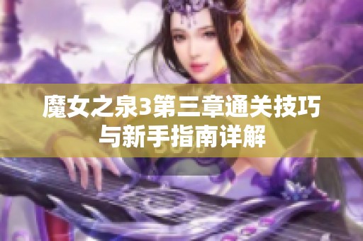 魔女之泉3第三章通關(guān)技巧與新手指南詳解