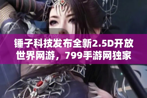 錘子科技發(fā)布全新2.5D開(kāi)放世界網(wǎng)游，799手游網(wǎng)獨(dú)家揭秘