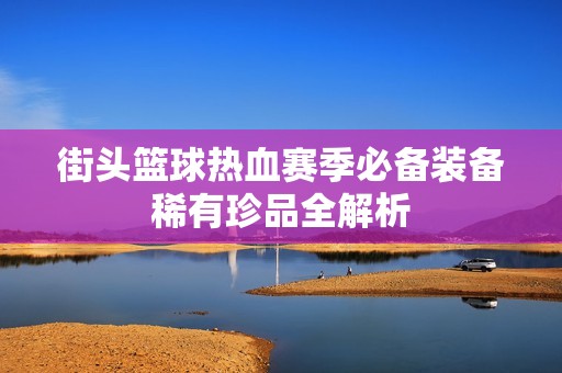 街頭籃球熱血賽季必備裝備稀有珍品全解析