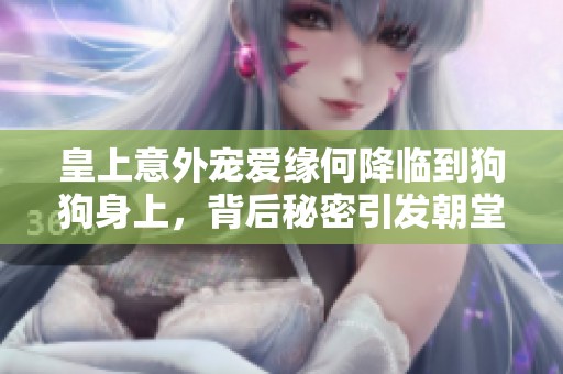 皇上意外寵愛緣何降臨到狗狗身上，背后秘密引發(fā)朝堂波瀾