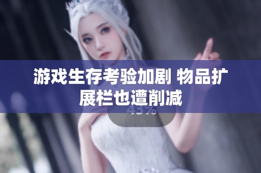 游戲生存考驗加劇 物品擴展欄也遭削減