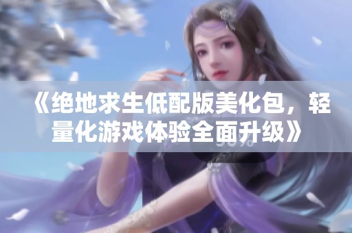 《絕地求生低配版美化包，輕量化游戲體驗全面升級》