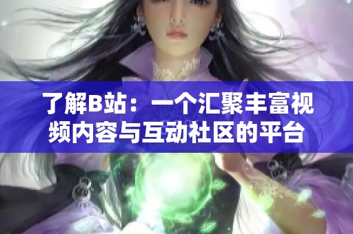 了解B站：一個(gè)匯聚豐富視頻內(nèi)容與互動(dòng)社區(qū)的平臺(tái)