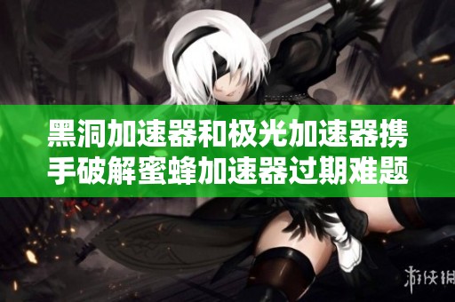 黑洞加速器和極光加速器攜手破解蜜蜂加速器過期難題