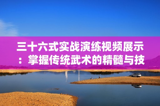 三十六式實(shí)戰(zhàn)演練視頻展示：掌握傳統(tǒng)武術(shù)的精髓與技巧