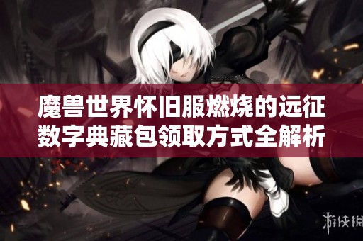 魔獸世界懷舊服燃燒的遠(yuǎn)征數(shù)字典藏包領(lǐng)取方式全解析