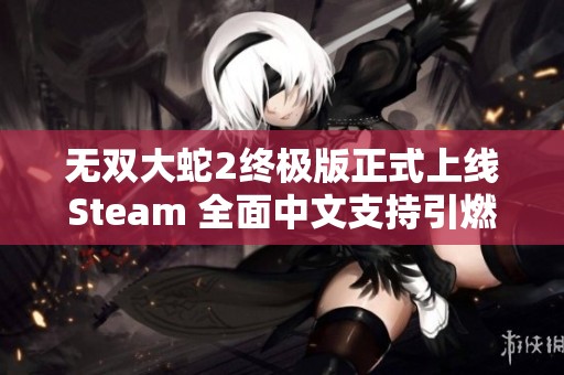 無雙大蛇2終極版正式上線Steam 全面中文支持引燃玩家熱情