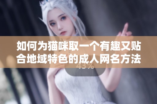 如何為貓咪取一個有趣又貼合地域特色的成人網(wǎng)名方法分享