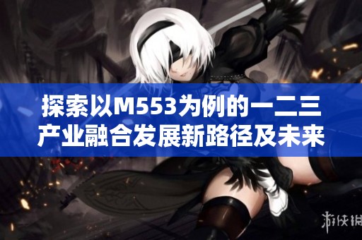 探索以M553為例的一二三產(chǎn)業(yè)融合發(fā)展新路徑及未來(lái)展望