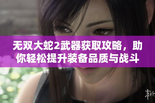 無(wú)雙大蛇2武器獲取攻略，助你輕松提升裝備品質(zhì)與戰(zhàn)斗力