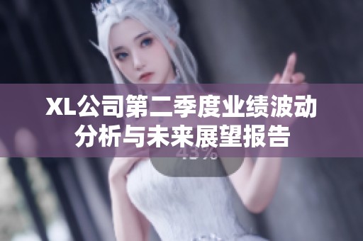 XL公司第二季度業(yè)績波動分析與未來展望報告