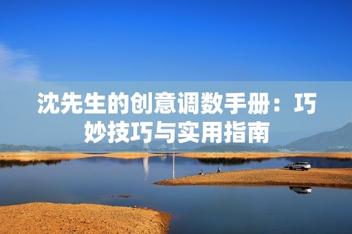 沈先生的創(chuàng)意調(diào)數(shù)手冊：巧妙技巧與實(shí)用指南