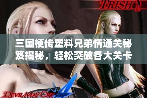 三國(guó)梗傳塑料兄弟情通關(guān)秘笈揭秘，輕松突破各大關(guān)卡技巧分享