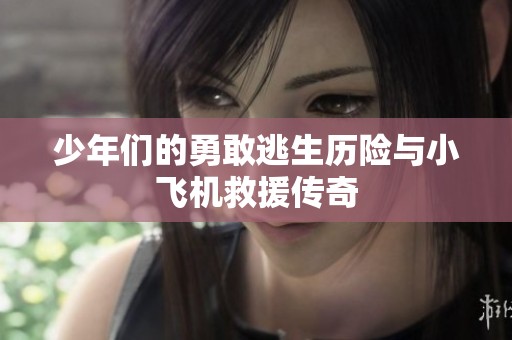 少年們的勇敢逃生歷險(xiǎn)與小飛機(jī)救援傳奇