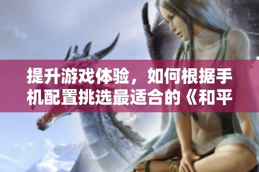 提升游戲體驗(yàn)，如何根據(jù)手機(jī)配置挑選最適合的《和平精英》設(shè)置方法
