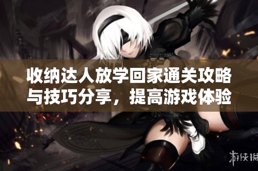 收納達(dá)人放學(xué)回家通關(guān)攻略與技巧分享，提高游戲體驗(yàn)的方法解析