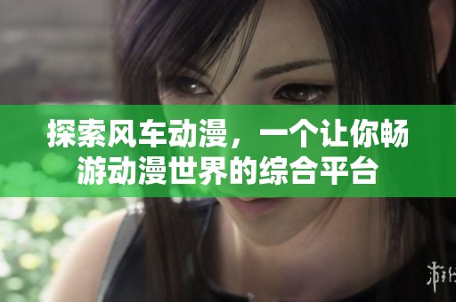 探索風(fēng)車動漫，一個讓你暢游動漫世界的綜合平臺