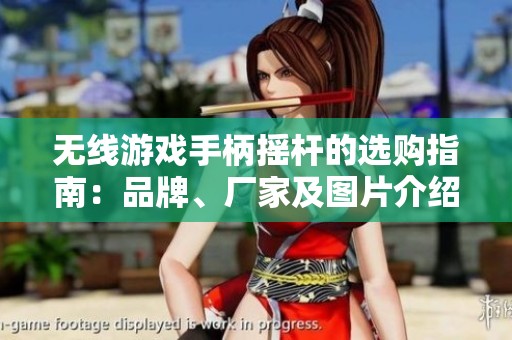無(wú)線游戲手柄搖桿的選購(gòu)指南：品牌、廠家及圖片介紹