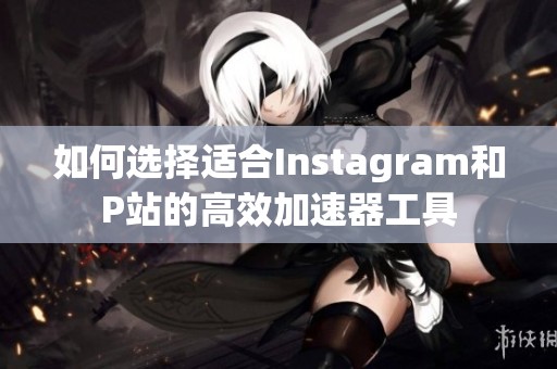 如何選擇適合Instagram和P站的高效加速器工具