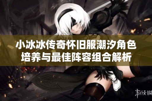 小冰冰傳奇懷舊服潮汐角色培養(yǎng)與最佳陣容組合解析