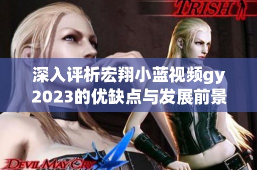 深入評(píng)析宏翔小藍(lán)視頻gy2023的優(yōu)缺點(diǎn)與發(fā)展前景