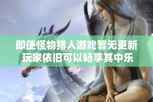 即使怪物獵人游戲暫無更新 玩家依舊可以暢享其中樂趣與挑戰(zhàn)體驗(yàn)