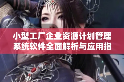 小型工廠企業(yè)資源計劃管理系統(tǒng)軟件全面解析與應(yīng)用指導(dǎo)