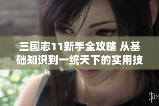 三國志11新手全攻略 從基礎(chǔ)知識到一統(tǒng)天下的實(shí)用技巧大揭秘