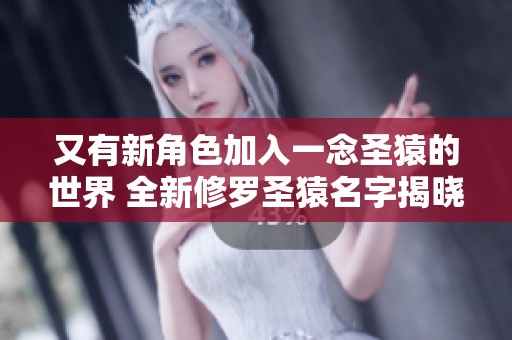 又有新角色加入一念圣猿的世界 全新修羅圣猿名字揭曉引發(fā)期待