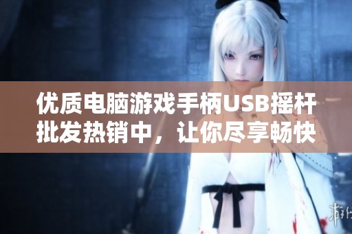 優(yōu)質(zhì)電腦游戲手柄USB搖桿批發(fā)熱銷中，讓你盡享暢快游戲體驗與超值特惠價格