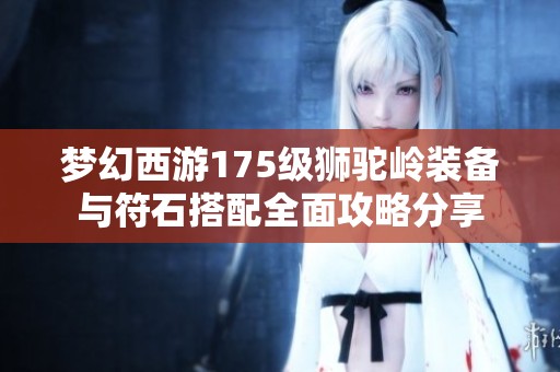 夢幻西游175級獅駝嶺裝備與符石搭配全面攻略分享